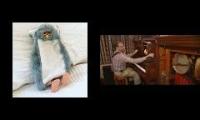 Thumbnail of longestfurbyever1998