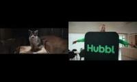 Thumbnail of hubbl cow for rspca and youtube mashup