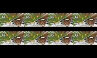 Thumbnail of testhlommynyaeisfghinbgfvguuftybh