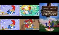 woody woodpecker pica pau englis portugues 2018 1941