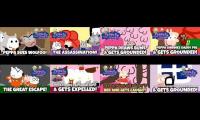 PPGG Season 2 (8 episodes played at the same time) #2