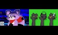 rambley the racoon is dancing with cas van de pol thoohless