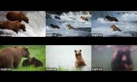 Brooks Falls - Katmai National Park, Alaska 2024