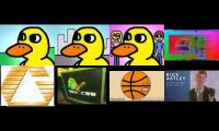 Annoying goose 11: The duck song marathon maestro 01.10.2014