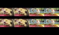 All 8 the same Booba parison