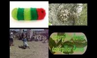 Thumbnail of Song That Plays When You Encounter a Caterpillar