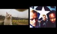 Thumbnail of Smack the Kittens (To Be A Cat X The Prodigy)