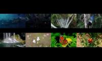 Thumbnail of YouTube channel  viwes increase