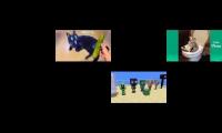 Thumbnail of 2 Monster school minecraft animation vs 13 funny dogs cats