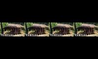 Thumbnail of Jelajahbantenyoutube