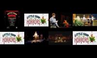 Thumbnail of The meek floral assistant Seymour Krelborn stumbles across a new breed of plant he names “Audrey II”