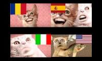 Thumbnail of 4 Numa cats my version