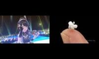 Thumbnail of hey! hey! its like like popcorn!