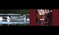 Thumbnail of isao tomita clarkes grebes no volume bird