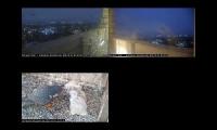 Thumbnail of Cal Falcons at UC Berkeley
