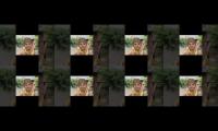 Thumbnail of Ayudha pooja Funmoji Funmoji videos