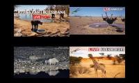 Thumbnail of Namibia & Botswana Nature Reserves