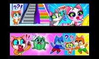 purr purr quadparison