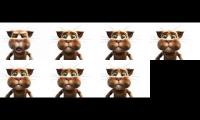 Leo Le Chat Comparison