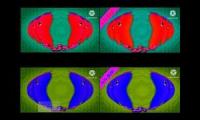 الجزرة toyorbabytv youtu be