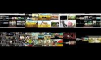 up to faster 1428 parison to mickey shorts