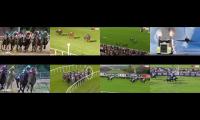 plane leads horses 6