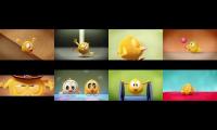 8 Chicky Episodes EightParison