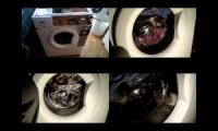 Thumbnail of Whirlpool washing machine