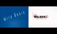 Wildbrain 2001 vs 2007 Logo