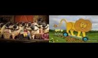 Thumbnail of Shaun The sheep Magical Event Lion And The Bear