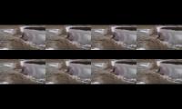 Thumbnail of Возвращение Саввы Баркод: 2000002364016 2028-05-29