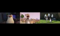 Thumbnail of skipper king julien and kowalski all screaming