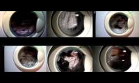 Thumbnail of Beko EcoCare WMA10W makes cry everything