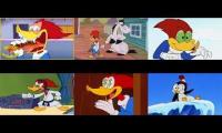full episodes of woody woodpecker part 1/5
