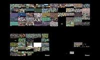 100 created aao videos playing at once