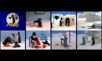 All pingu SEASON 1 1-8 EPISODES