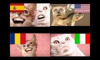 numa cat de distintos paises
