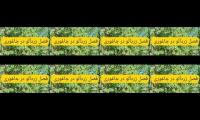 Thumbnail of فصل توت و زردآلو در جاغوری fasly toot jaghori