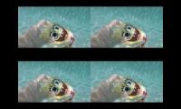 Thumbnail of up to faster 4 parison to Spongebobs super underwater pool party