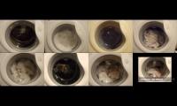 Thumbnail of Candy GO510 Washing machine