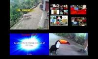 Thumbnail of Up to faster 464 Parison