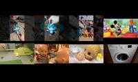 Thumbnail of Annoying Goose and too many up to faster parison
