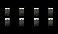 Thumbnail of agrifaremridiatamolnadubbbbbbbbbbbbbbb