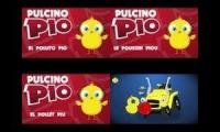 pulcino pio 4 polyglot