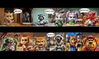 Thumbnail of Daily CuteMeow Up To Faster 6