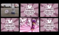 all rayman raving rabbids bunnies very scientific facts at once