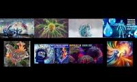 Thumbnail of Point anjelic support