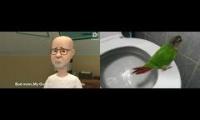 Parrot poo poo in the toilet - Youtube Multiplier