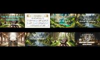 Surah yaseen, Surah Baqrah, Surah Rehman, Surah kahaf, Surah Mulk, Ayat ul Kursi, Surah Waqiah, Fact
