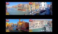 Roger Venice Favorites V